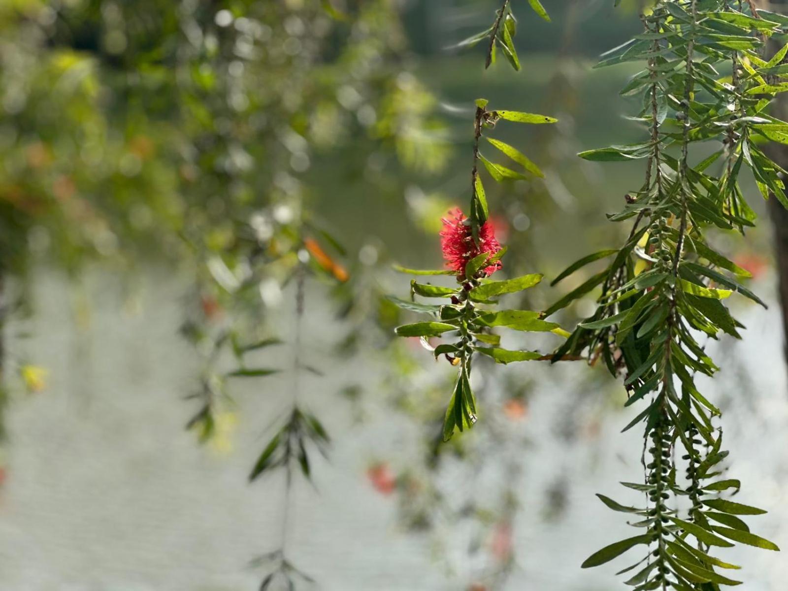 Lakeside Cottage By Clover นูวาราเอลิยา ภายนอก รูปภาพ