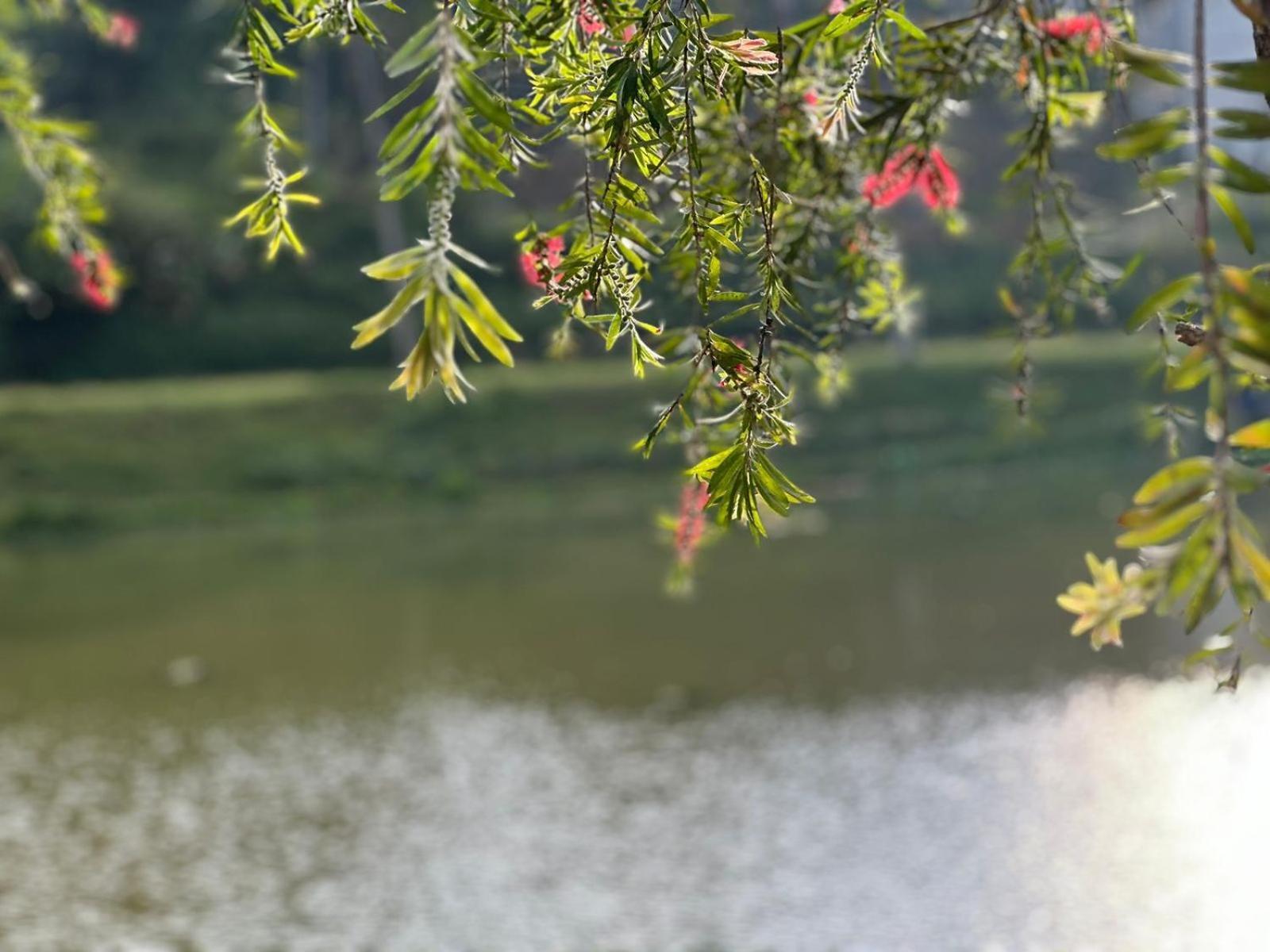 Lakeside Cottage By Clover นูวาราเอลิยา ภายนอก รูปภาพ