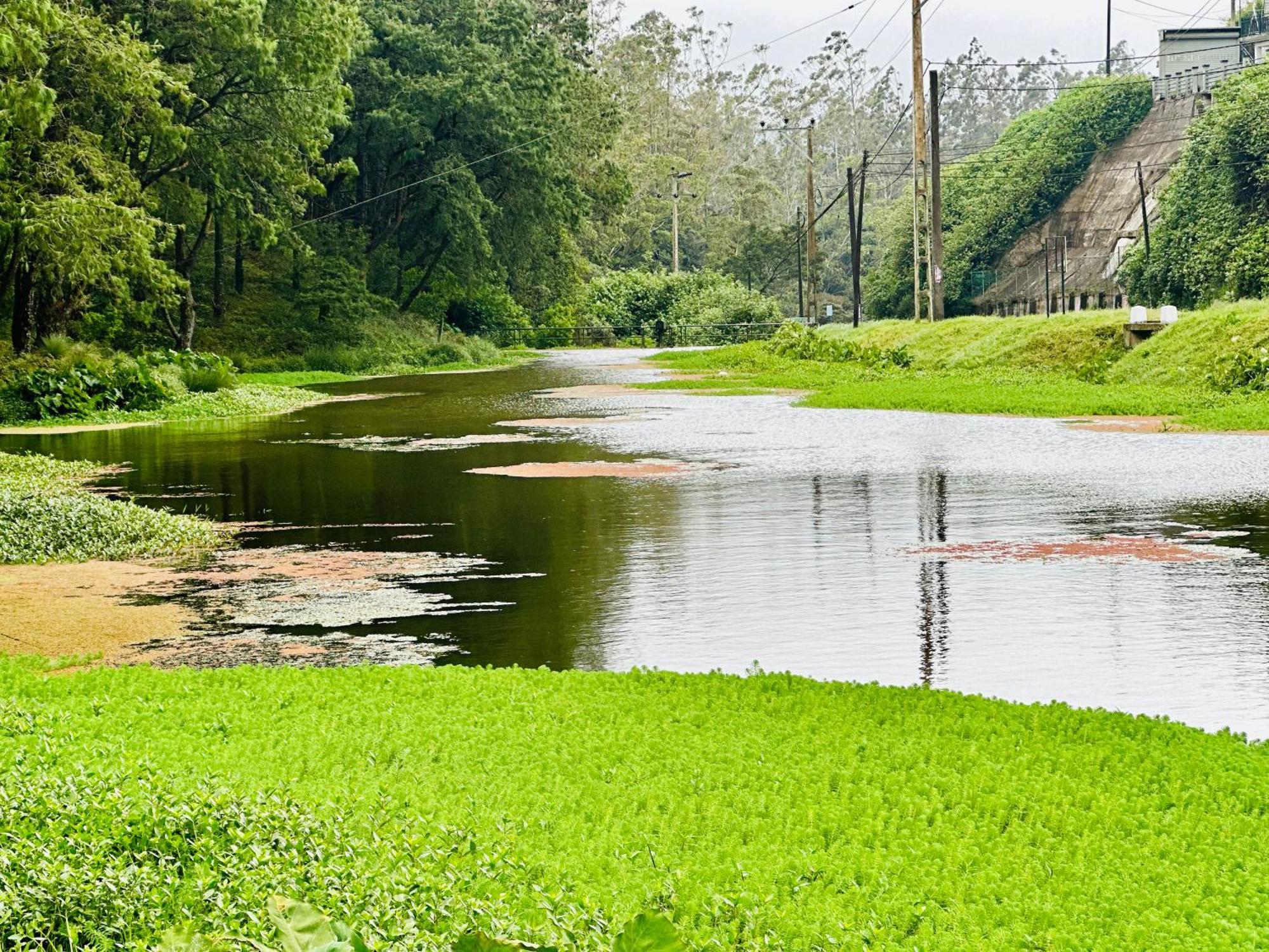 Lakeside Cottage By Clover นูวาราเอลิยา ภายนอก รูปภาพ